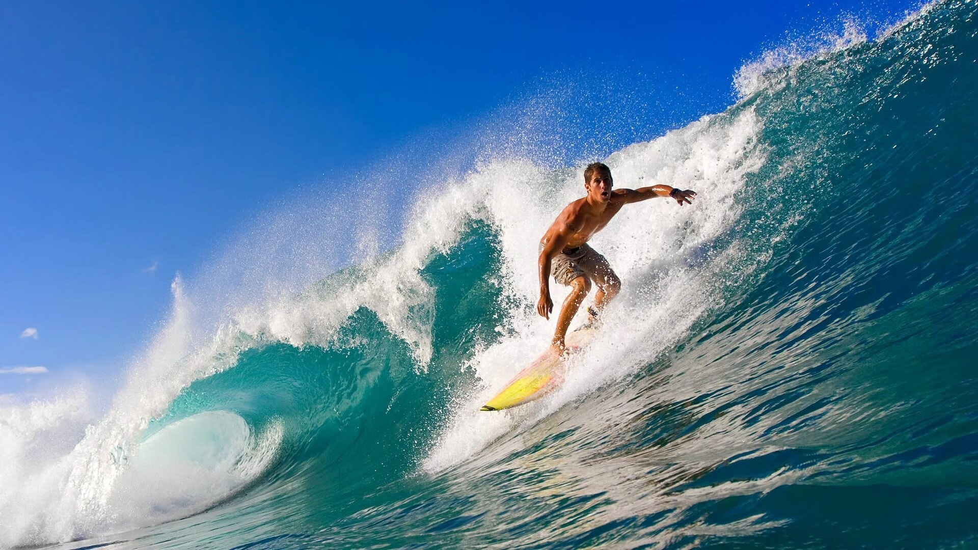 世界杯精彩集锦:动人心弦的经典瞬间,世界杯精彩片段