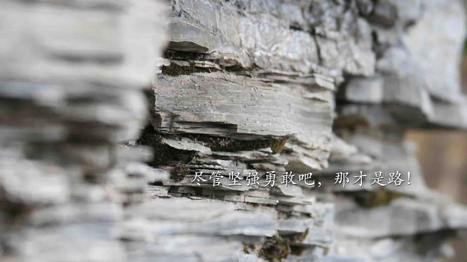 体育赛事数字化转型推进，体育 数字化