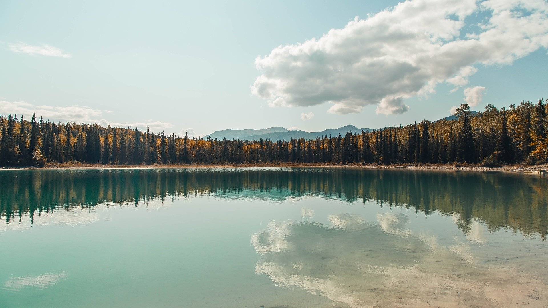 裁判误判争议不断视频回放制度呼声高涨,裁判场上误判怎么办