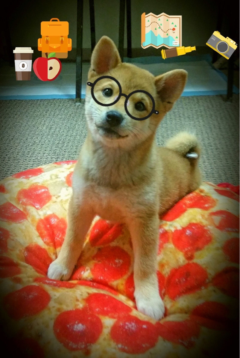 Milan Sports-世界杯的全球影响力扩展，足球世界杯的影响力