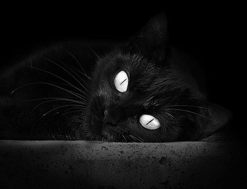 米兰体育官网-体育类高校开设运动数据分析新课程，运动数据分析是干嘛的