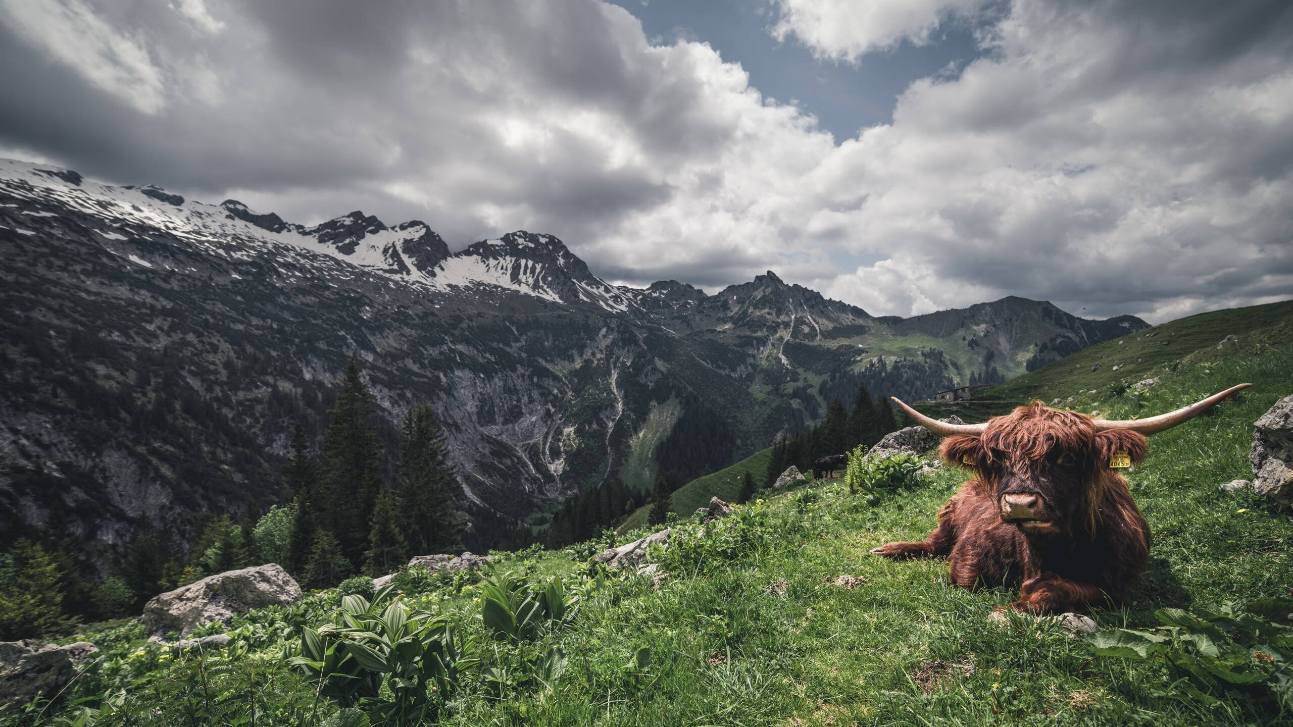 拜仁技惊四座全场沸腾德甲焦点战，拜仁经典比赛