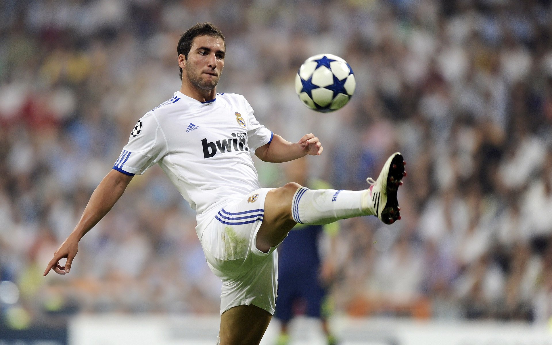 “亚戈·卡尔曼的精彩表现,助阿根廷美洲狮队成为橄榄球新生代的代表”